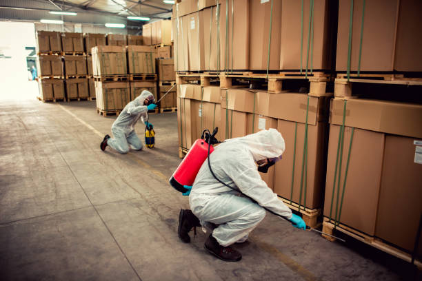 Best Pest Inspection Near Me  in Creola, AL