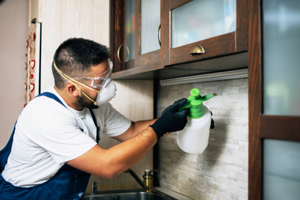 Best Affordable Pest Control Services  in Creola, AL