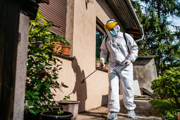 Best Mosquito Control Services  in Creola, AL
