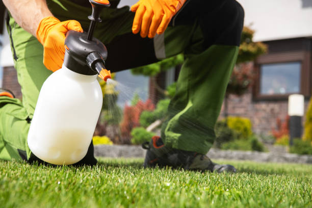 Best Local Pest Control Services  in Creola, AL