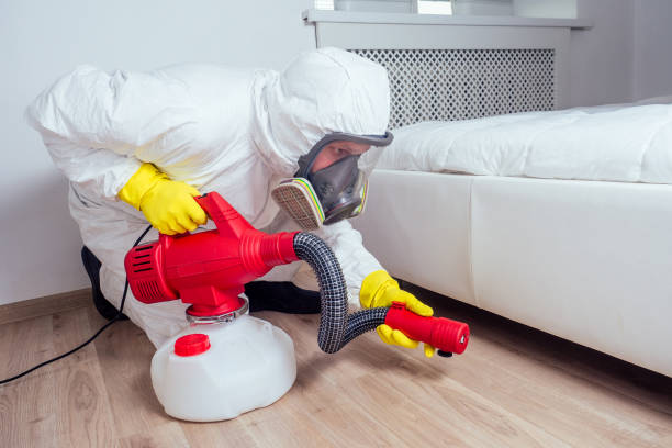 Best Ant Control Services  in Creola, AL