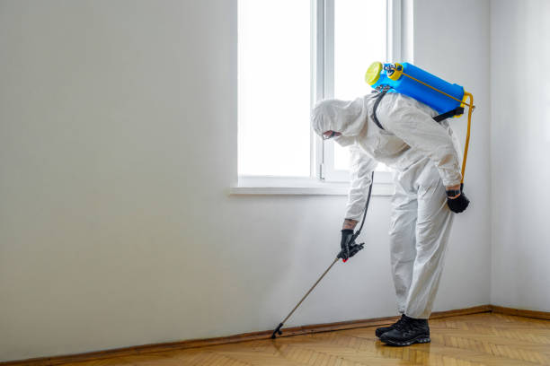 Best Residential Pest Control  in Creola, AL