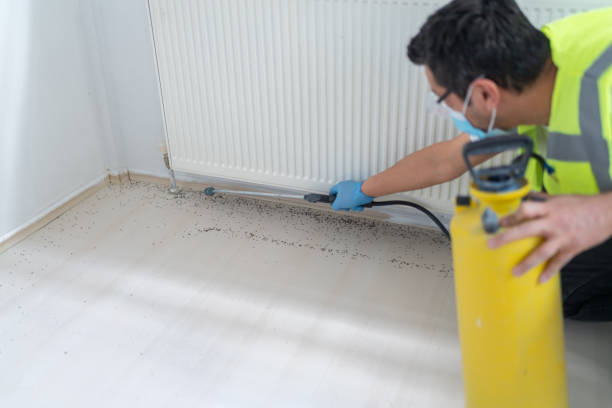 Best Cockroach Control Services  in Creola, AL