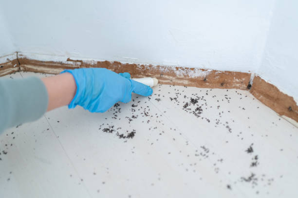 Best Wasp Removal Services  in Creola, AL